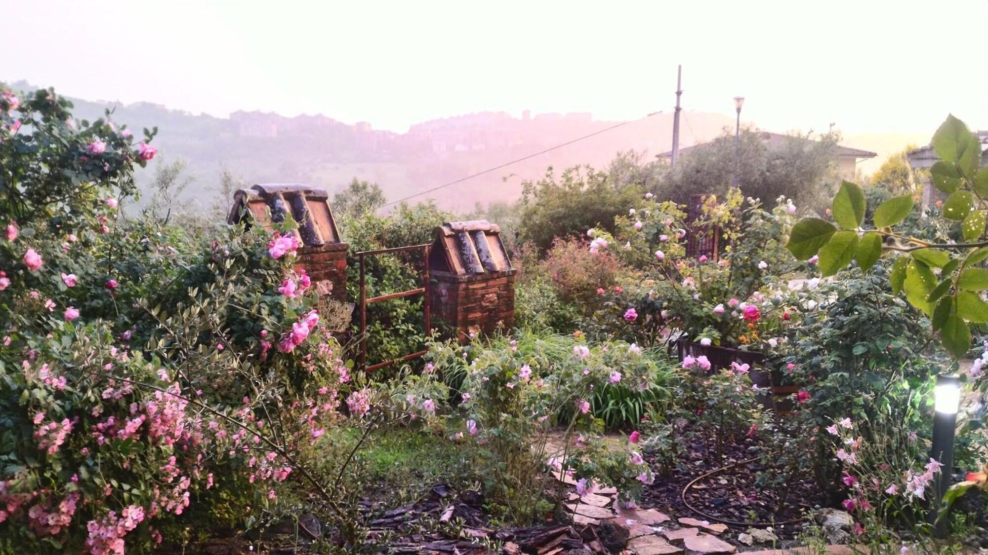 Comodidades del Alojamiento C'era una volta B&B