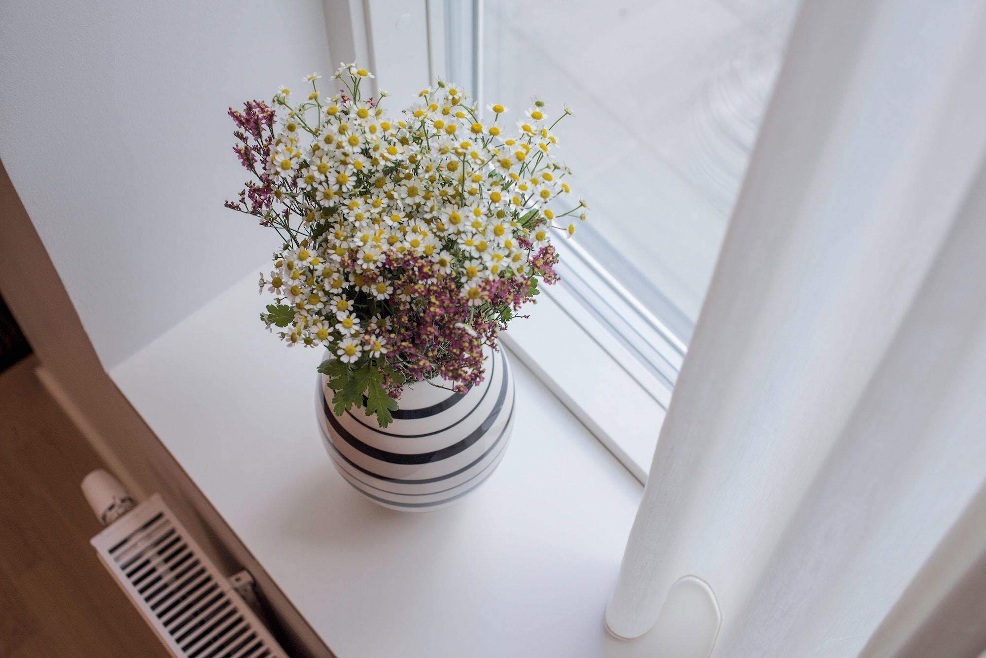 Comodidades del Alojamiento STUDIO1A Hotel Apartments