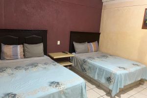 Alojamiento - Hotel Diana cazadora