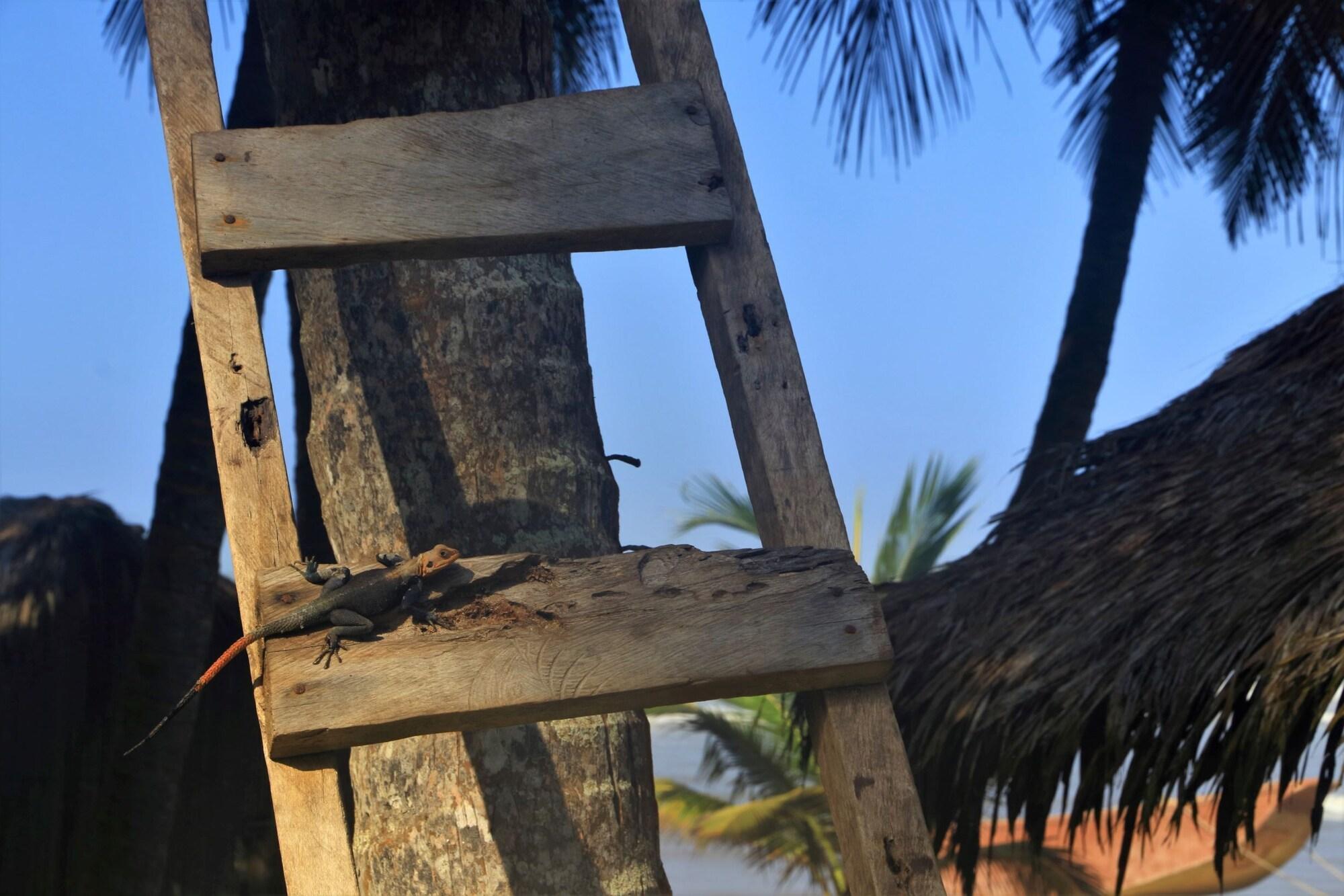 Vista Exterior Beyin Eco Beach Camp