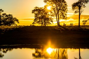 Passagem - Voos para Campo Grande