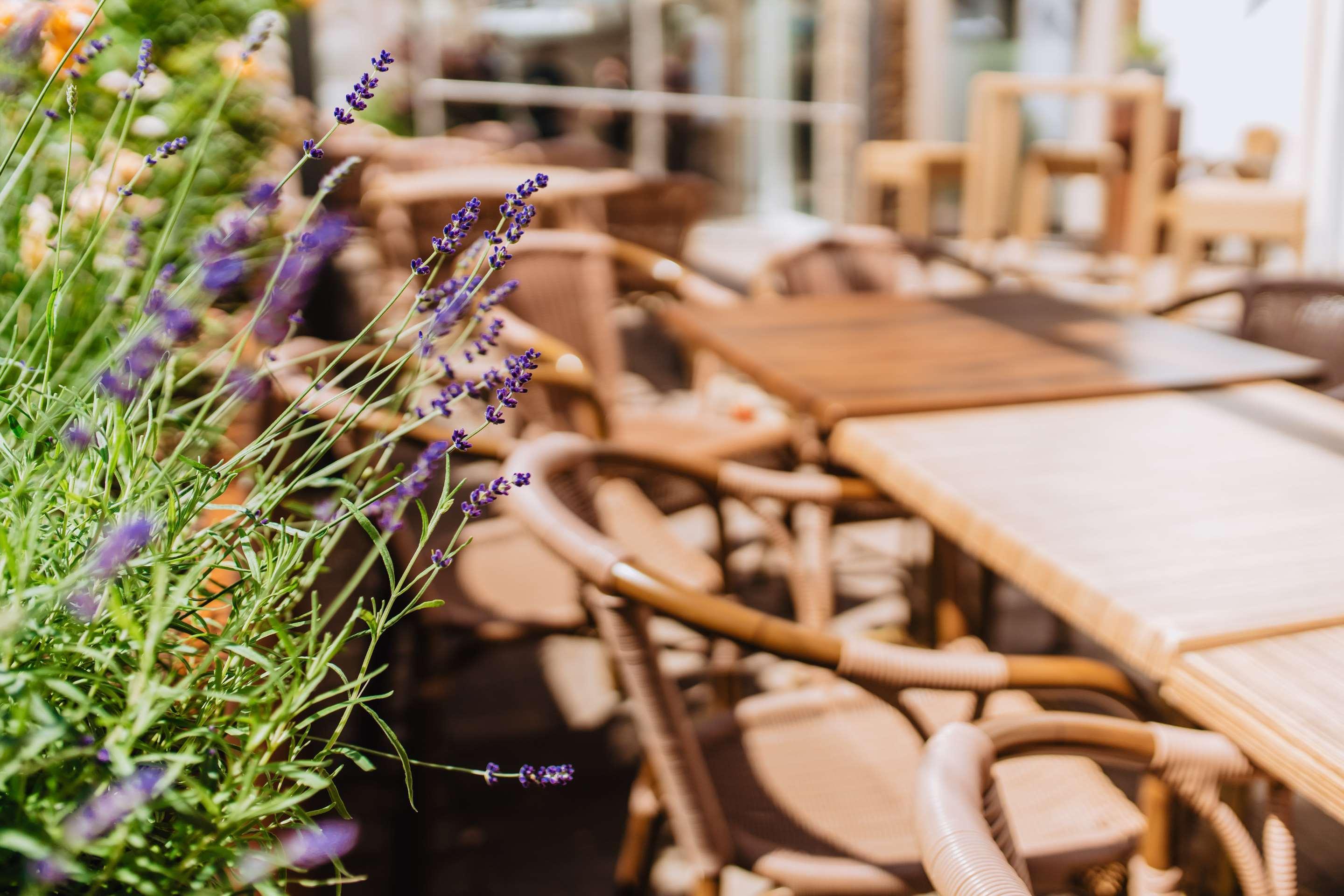 Vista Exterior Best Western Plus Hotel Willingen