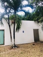 Alojamiento - Hotel Borush