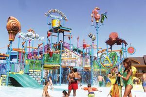 Actividad - Palm Island en autobús - Tour de un día