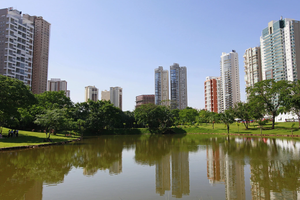 Passagem - Voos para Goiânia