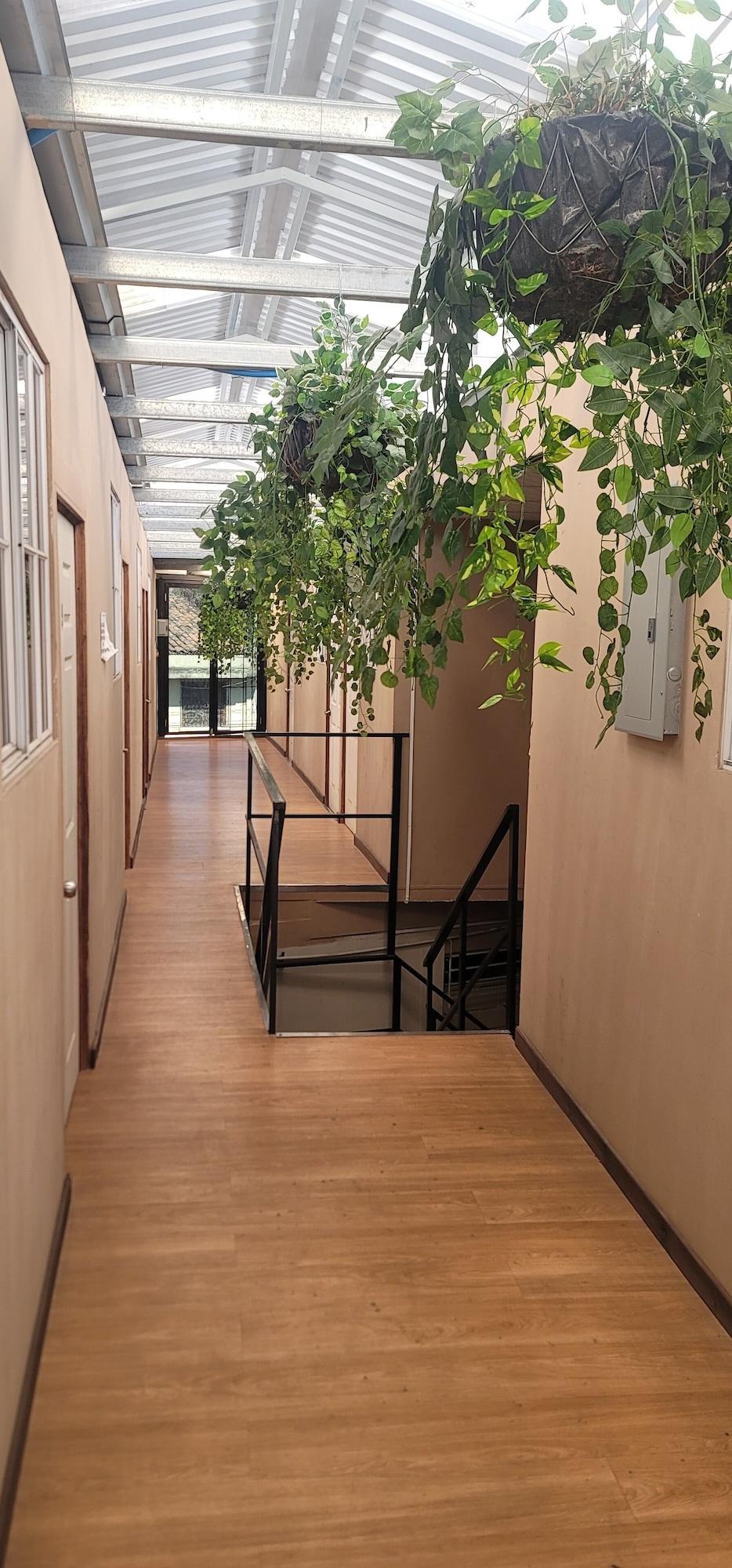 Equipamiento de Habitación Casa de Huespedes Noche de Luna