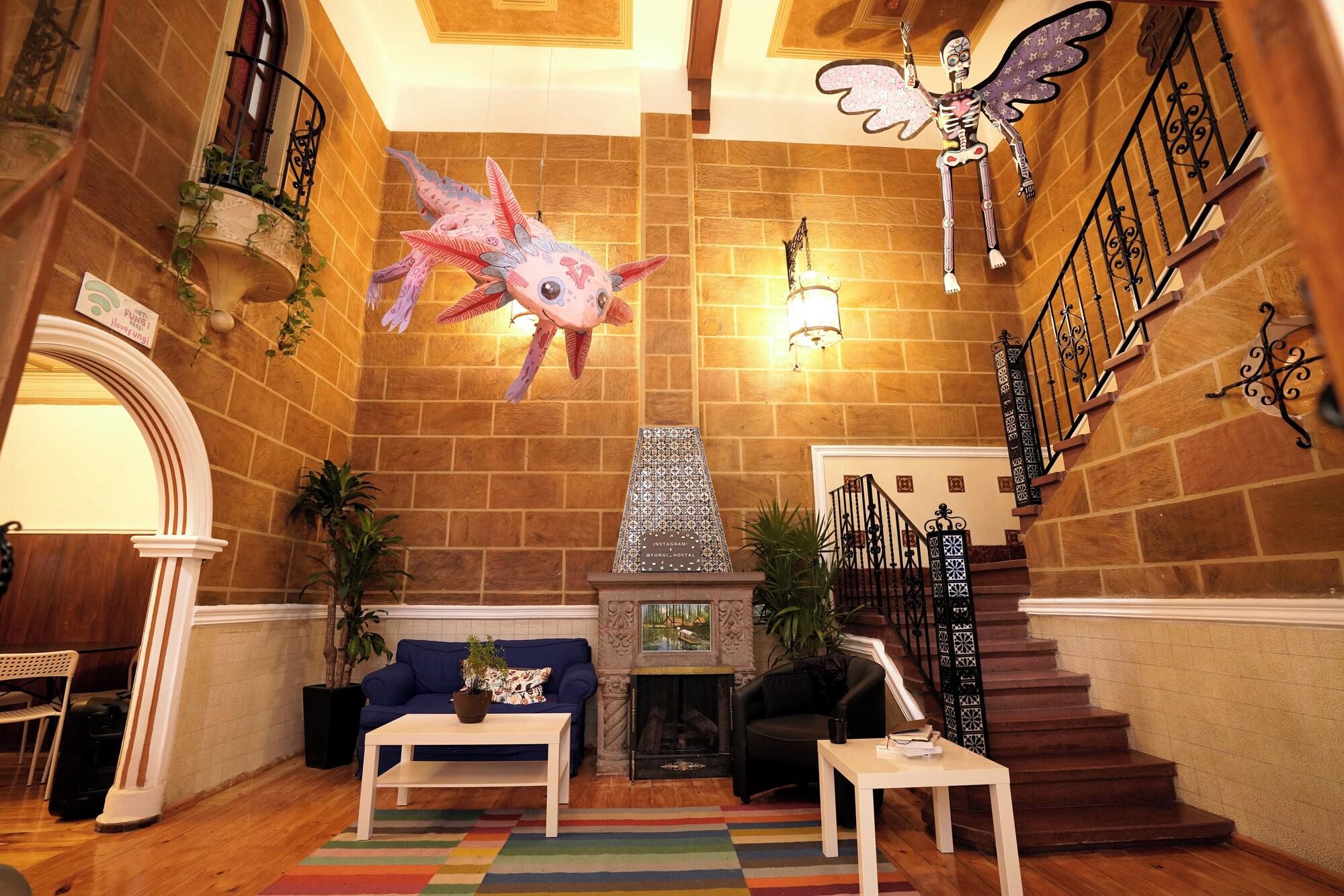 Comodidades del Alojamiento Hostal Fungi Casa Rosa