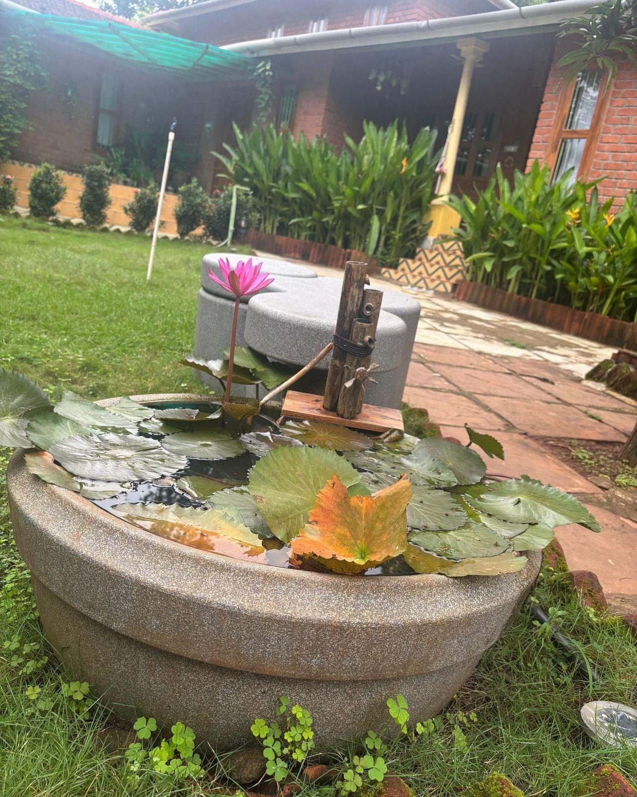 Vista Exterior Green Roots Farm Stay