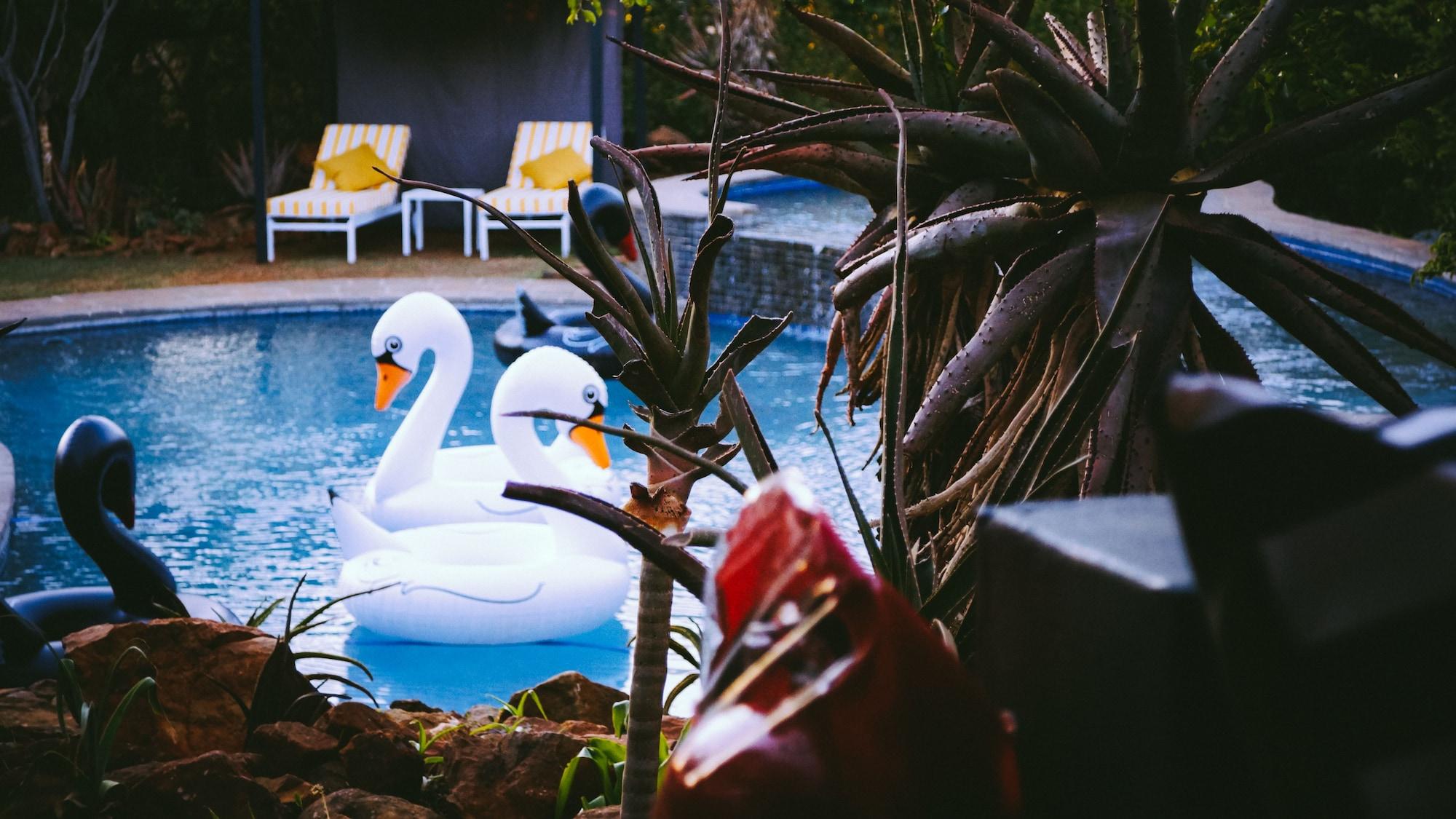 Gimnasio Thaba Eco Hotel