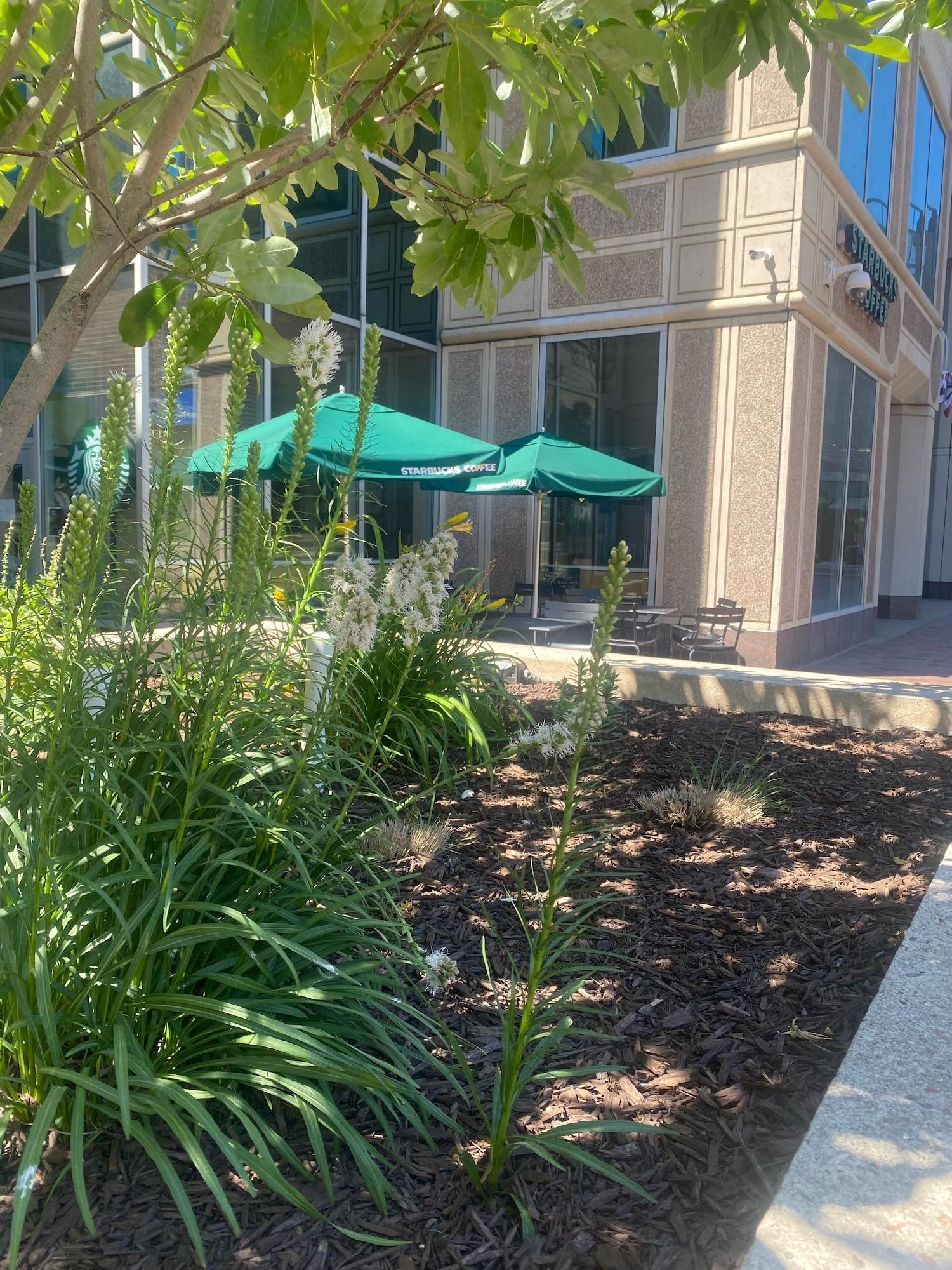 Bar/Salón The Westin Pittsburgh, a Marriott Hotel