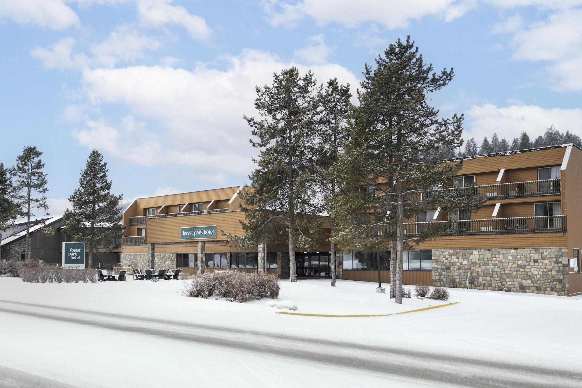 Vista Exterior Forest Park Hotel