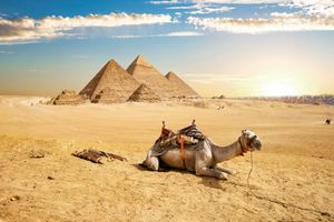 Actividad - Maravillas antiguas de Giza: tour a las Grandes Pirámides y la Esfinge