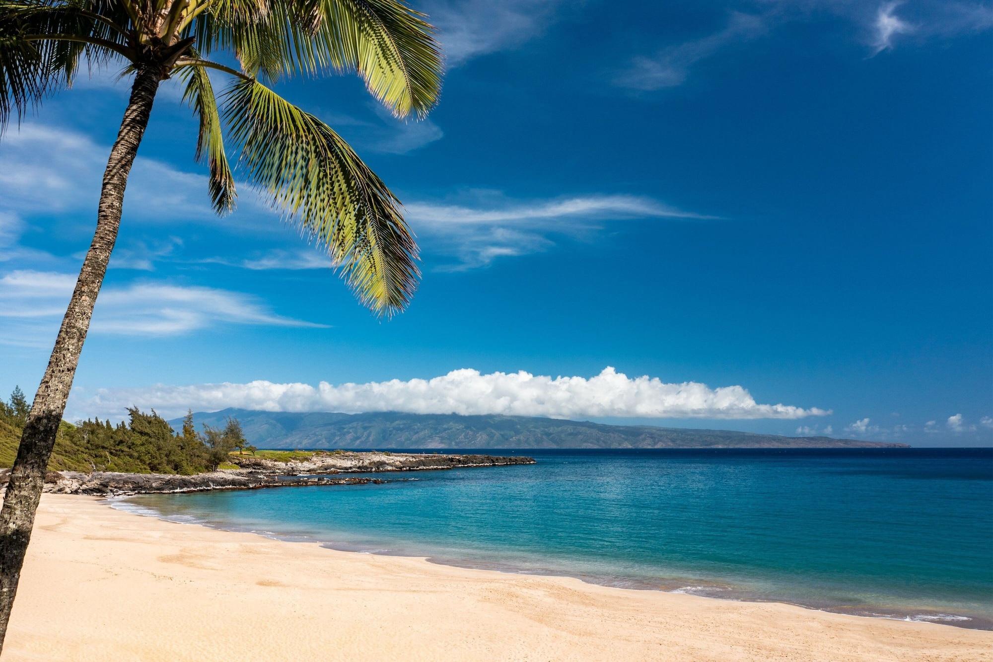 Playa The Ritz-Carlton Maui, Kapalua