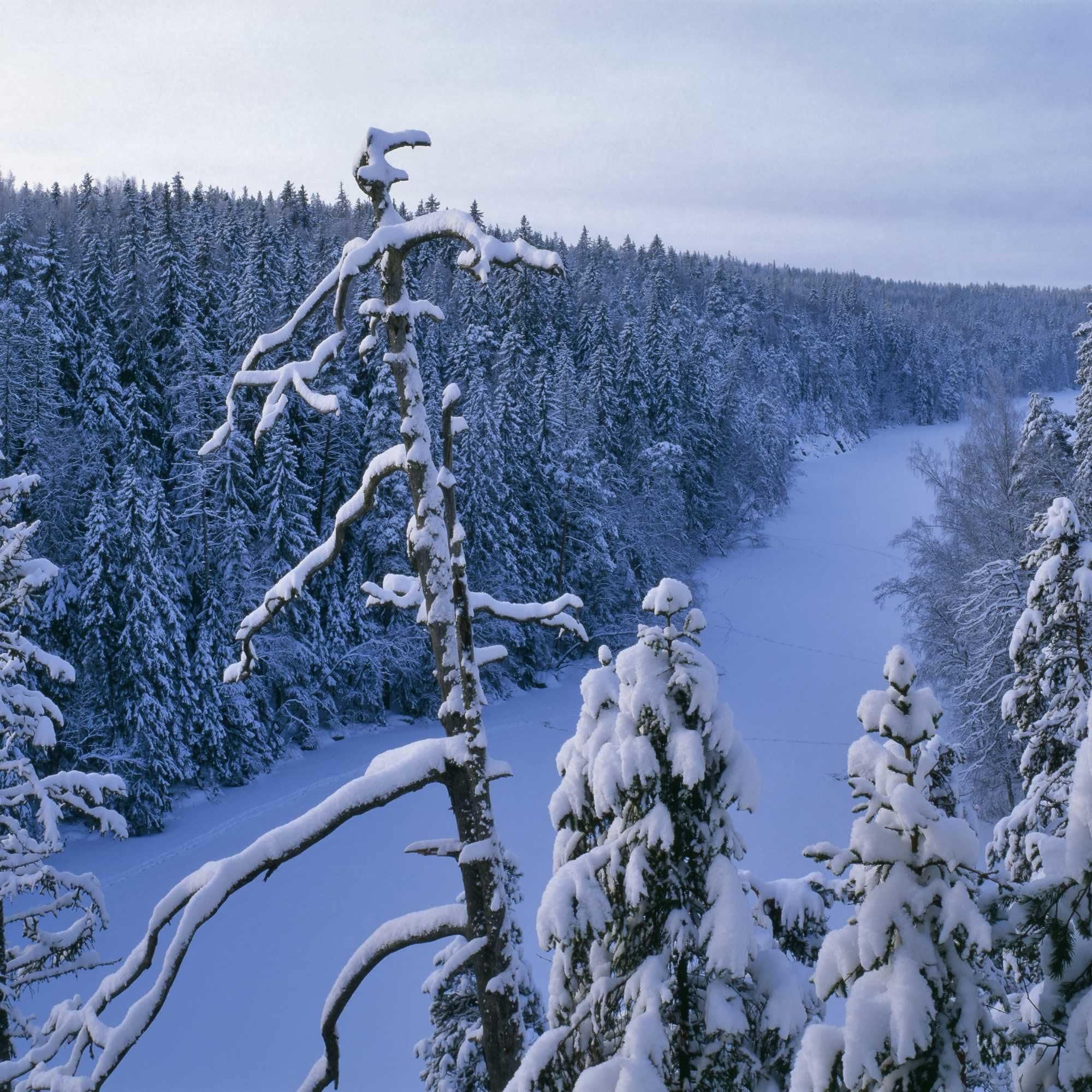 Instalaciones Recreativas Hotelli Tarjanteen majoitushuoneet Virrat