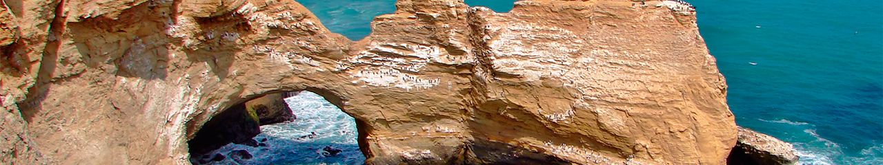 Hoteles en Paracas