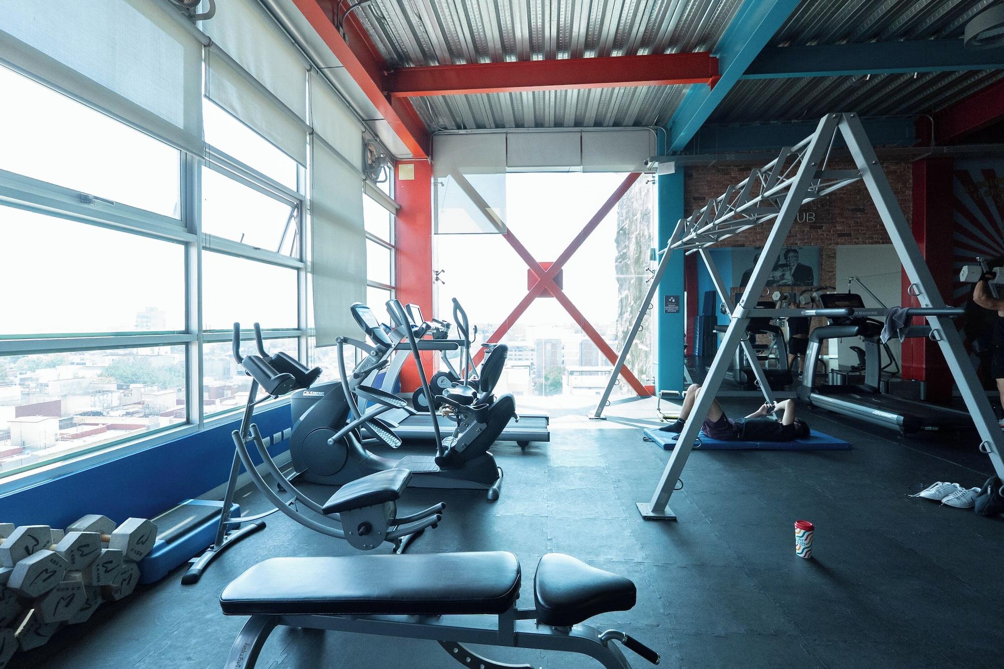 Gimnasio The Midnight Bloom Suite