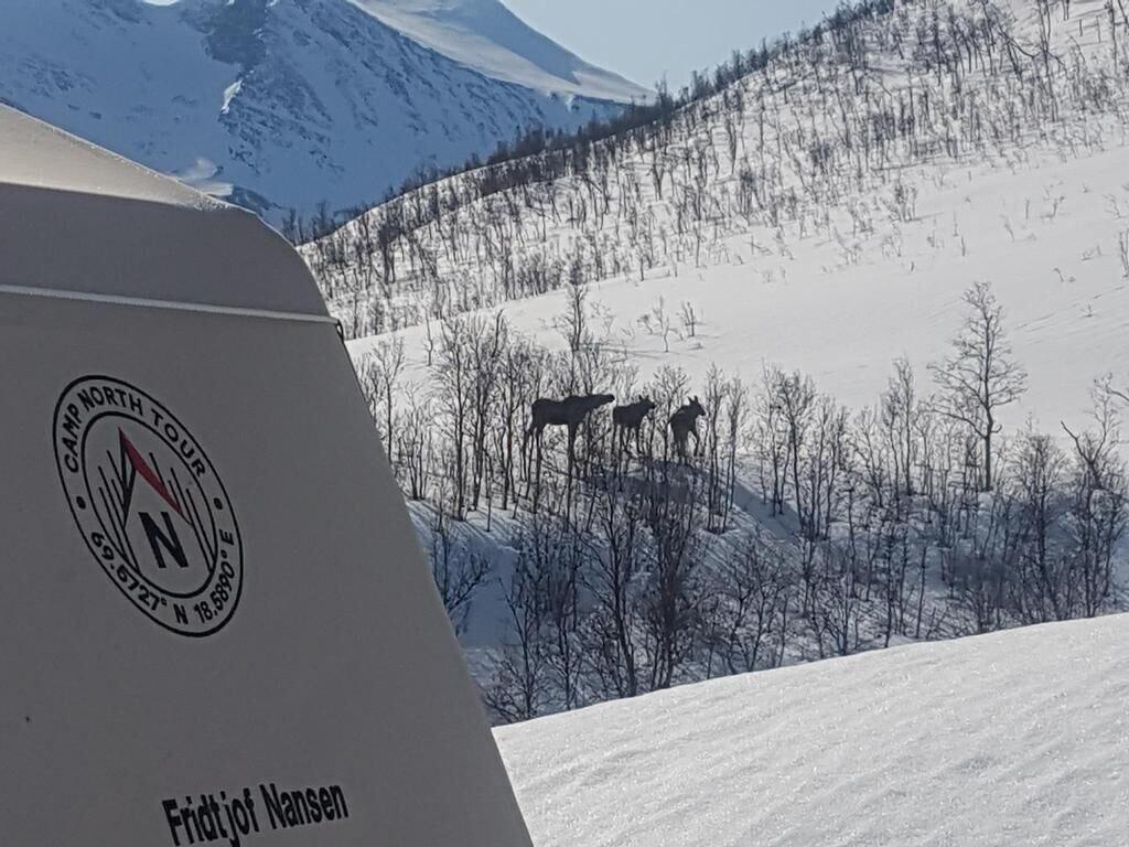 Vista Exterior Camp North Tour