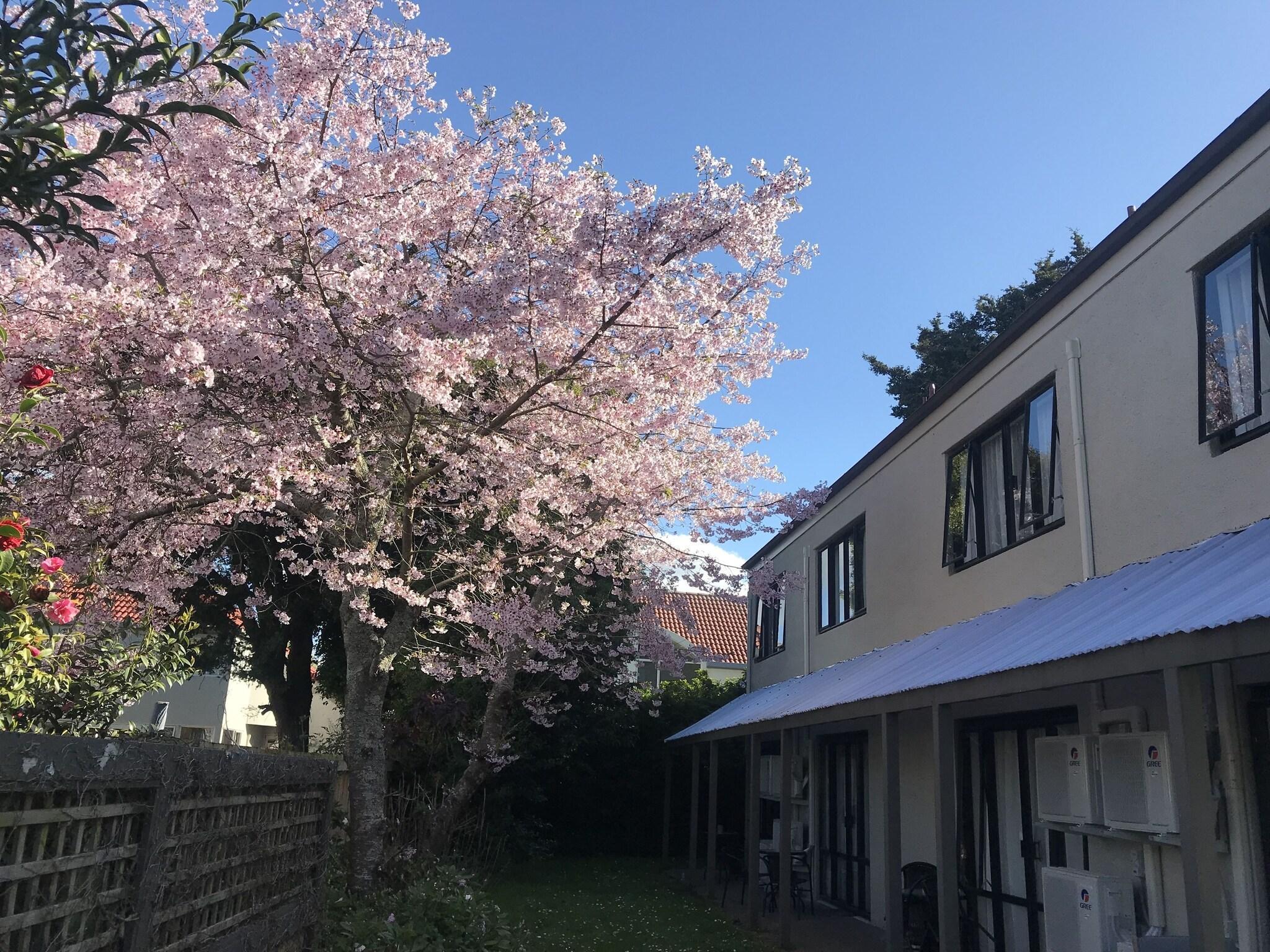 Varios Royal Park Lodge