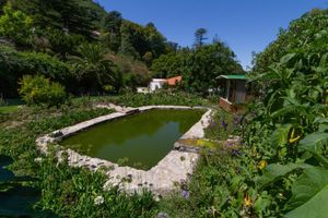 Alojamiento - Quinta das Murtas