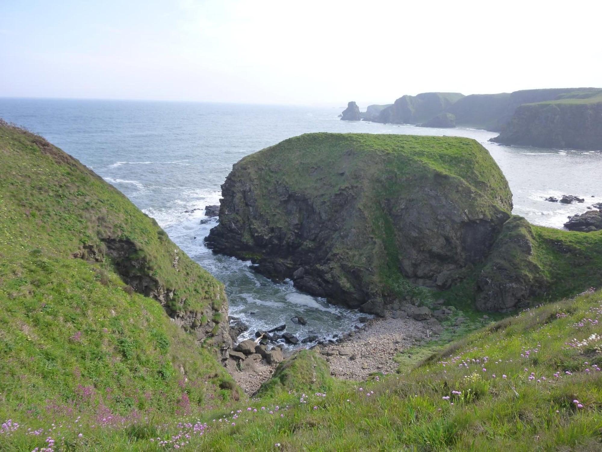 Playa Toadhall Rooms