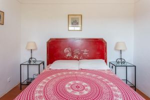 Alquiler Vacacional - Converted Shepherds Cottage in Traditional Cork Forest, Near Evora