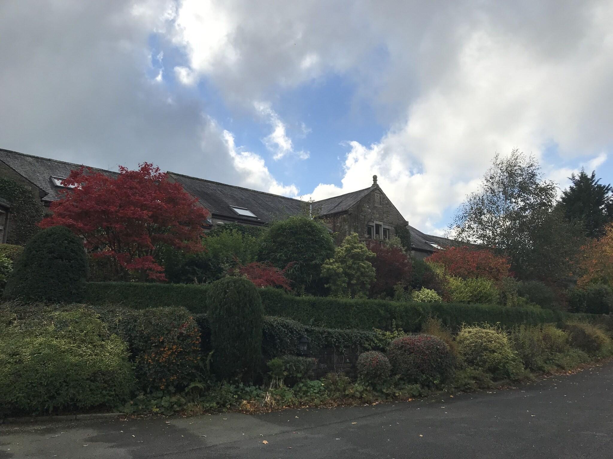 Vista Exterior Gibbon Bridge Hotel