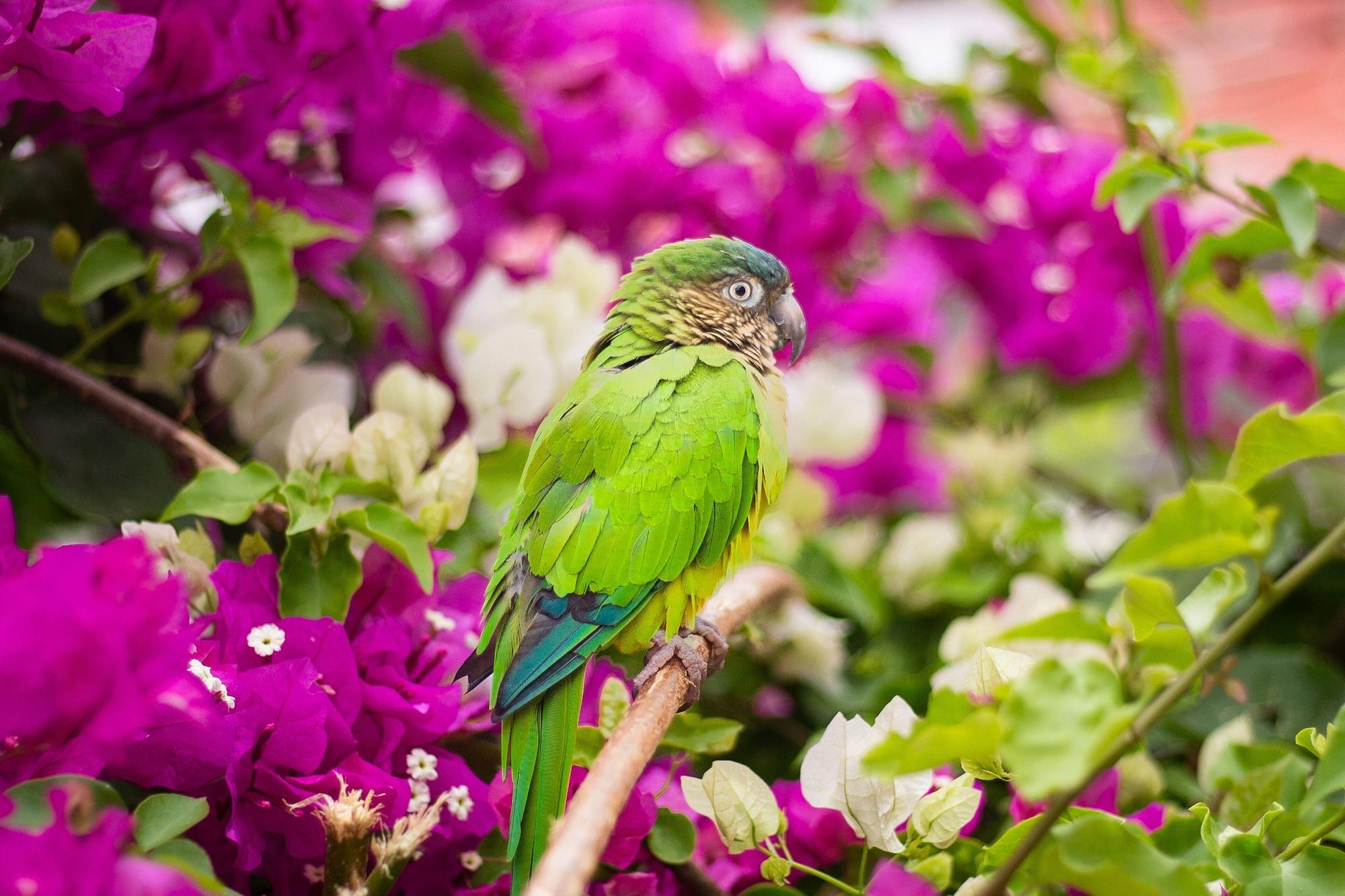 Instalaciones Recreativas Mundo Nuevo Eco Lodge