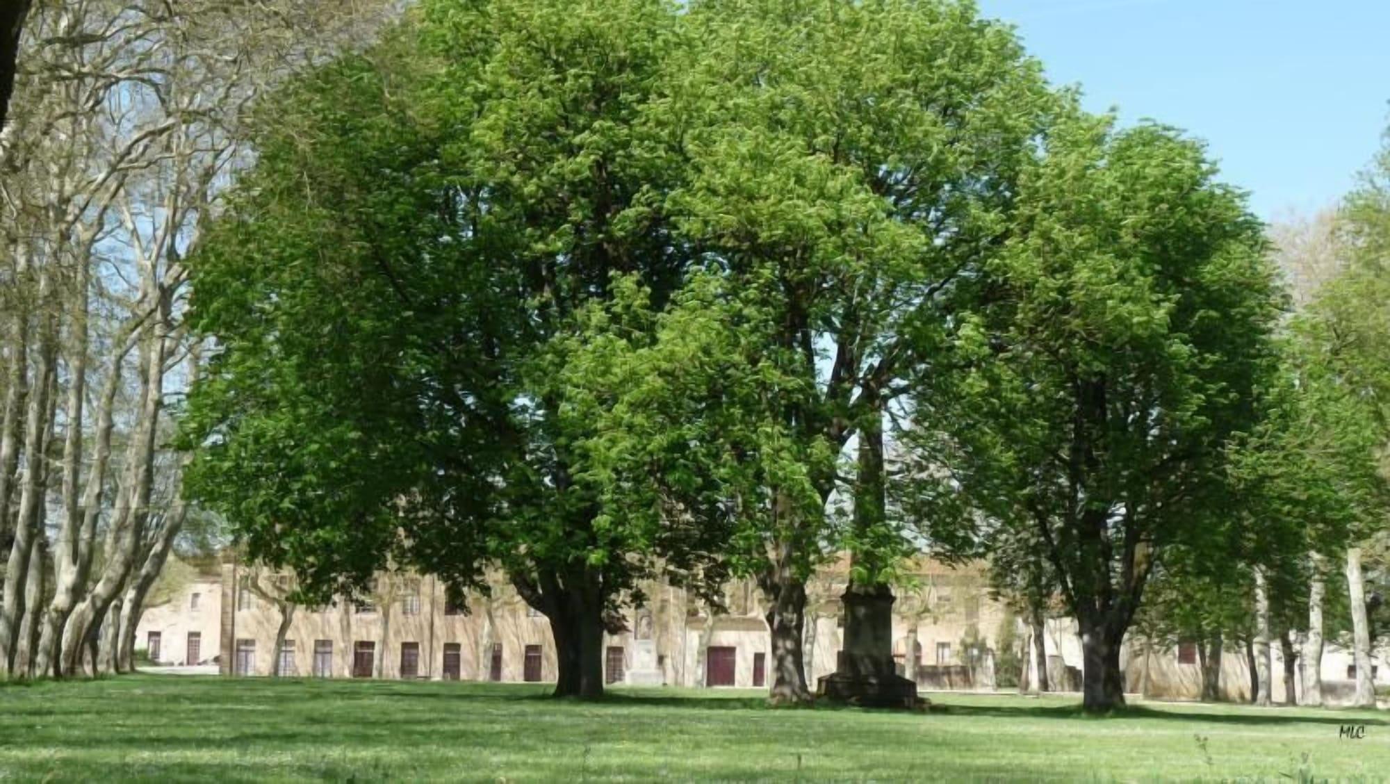 Comodidades del Alojamiento Hotel Abbaye Ecole de Soreze