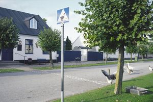Alojamiento - Skanörs Gästgifvaregård