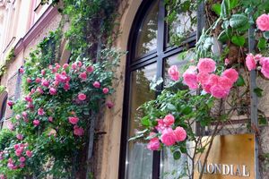 Alojamiento - Mondial Appartement Hotel