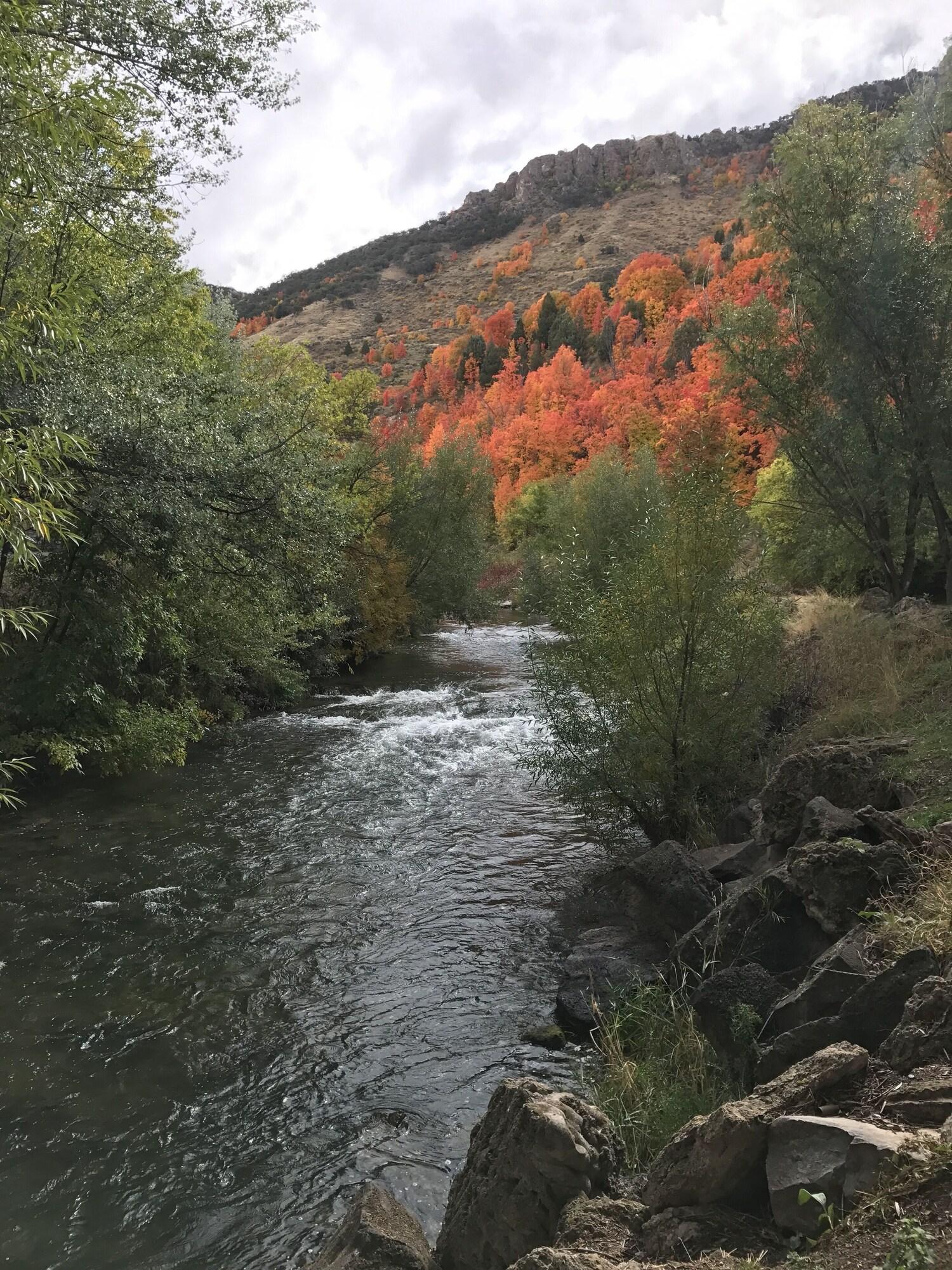 Vista Exterior Lava Spa Motel & RV Park