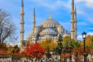 Actividad - Recorrido por Estambul en grupo pequeño en un día