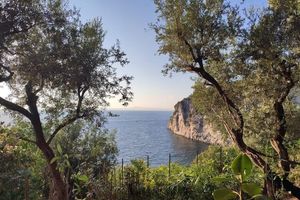Alquiler Vacacional - panoramic villa with large garden and swimming pool