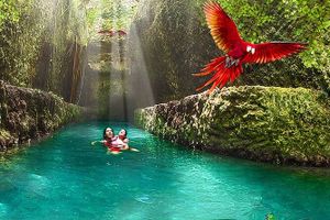 Actividad - Xcaret Plus con almuerzo y traslados desde playa del carmen MEX
