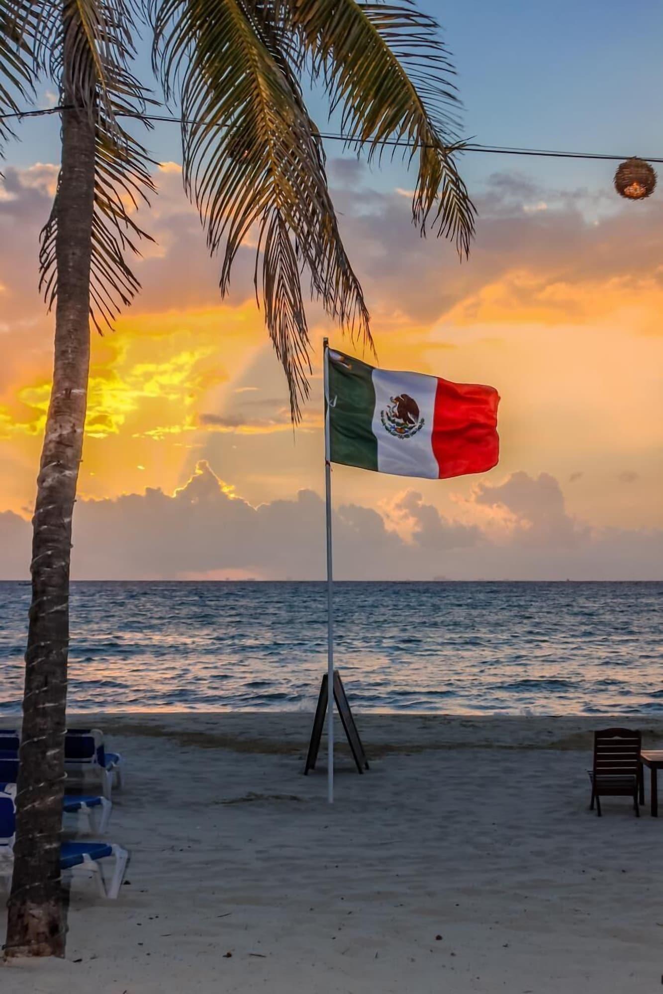 Bar/Salón Pelicano Inn Playa del Carmen - Beachfront Hotel