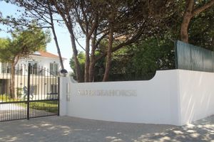 Alojamiento - Silver Seahorse Garden Retreat