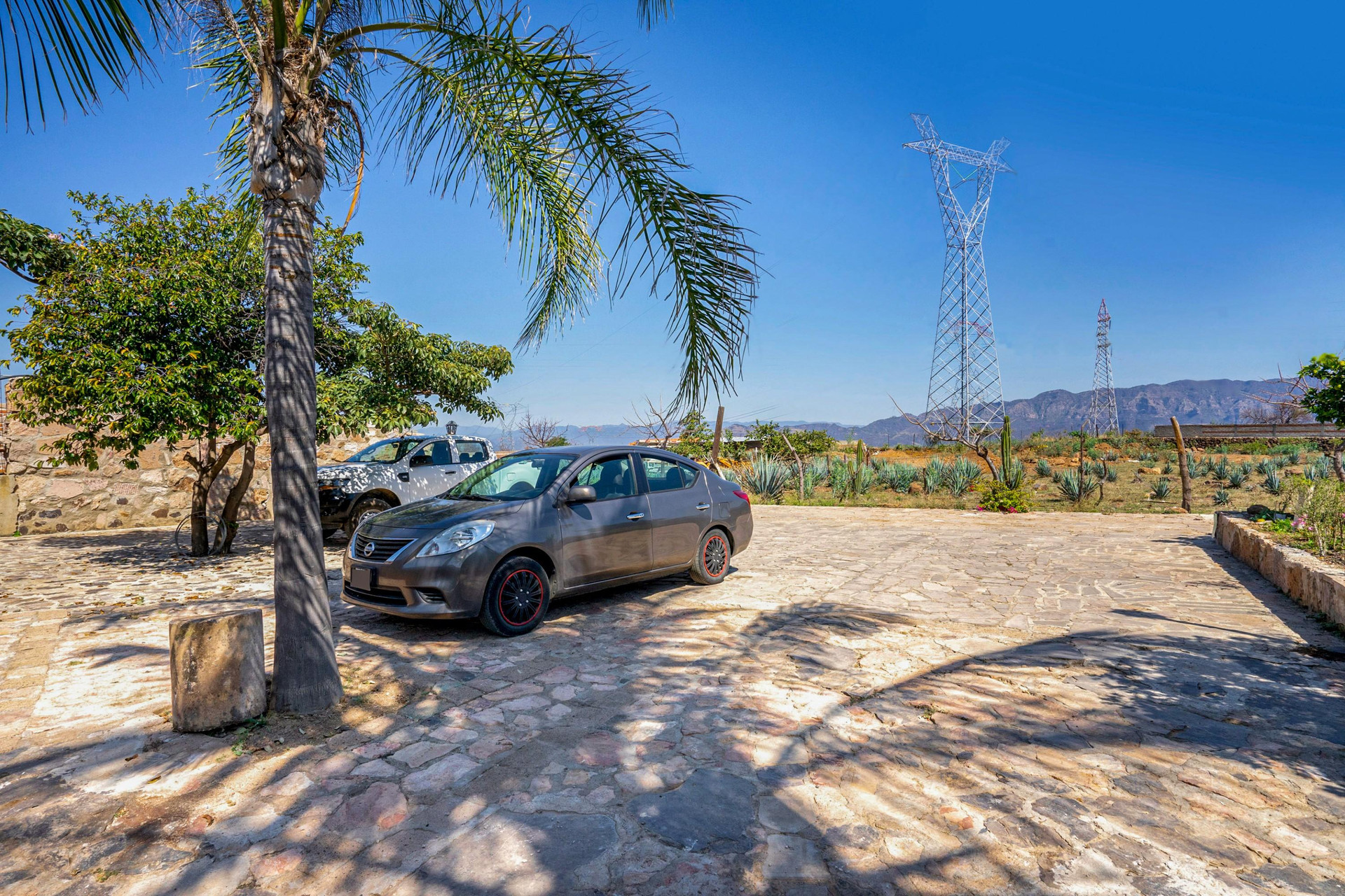 Vista Exterior Collection O Hotel Monte Agave