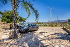 Alojamiento - Collection O Hotel Monte Agave