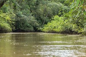 Actividad - Paseo en canoa por el río Tundó
