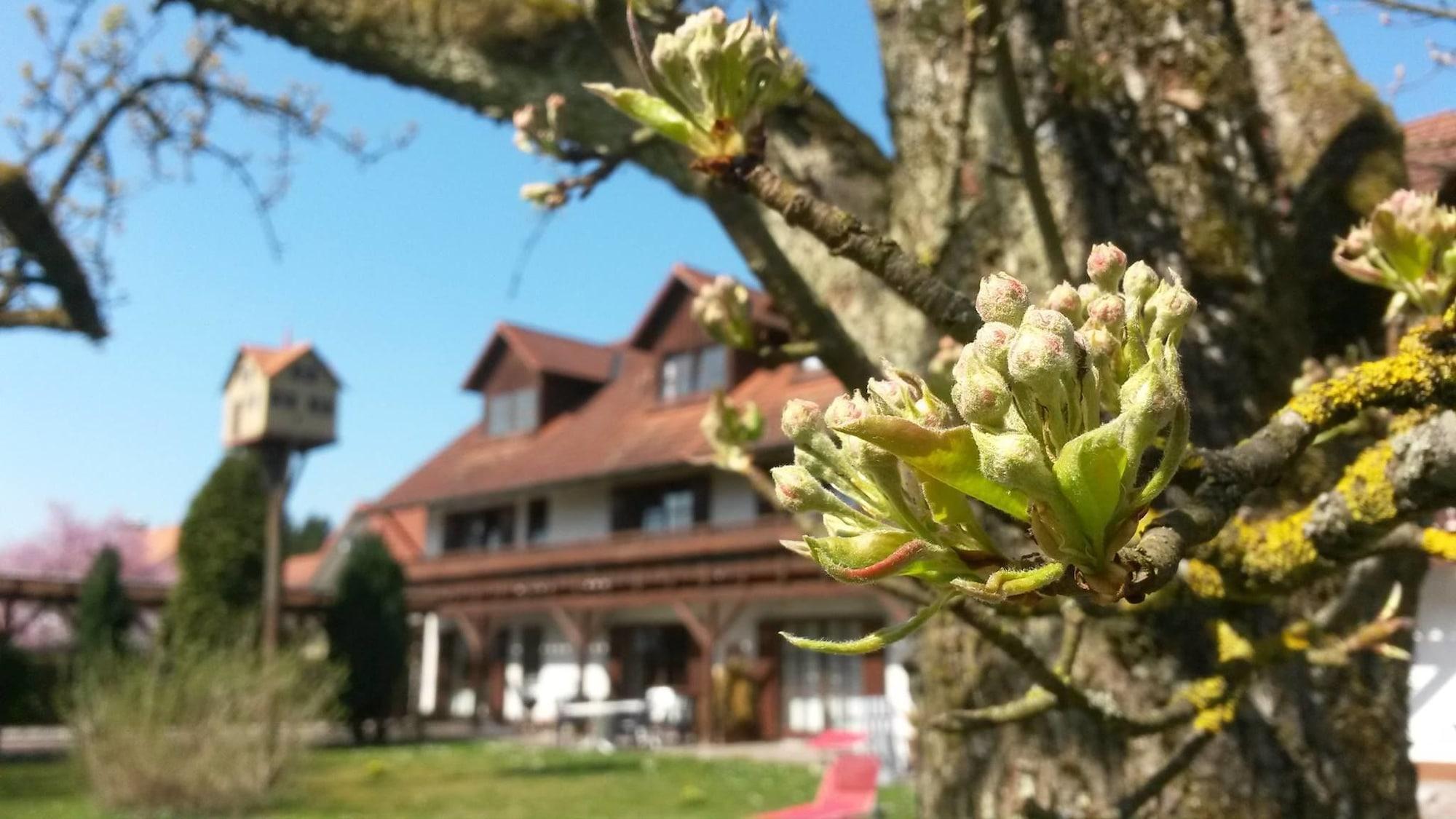 Vista Exterior Pension Aufeld