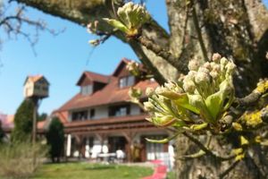 Alojamiento - Pension Aufeld