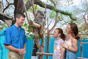 Actividad - ZooQuarium Ticket