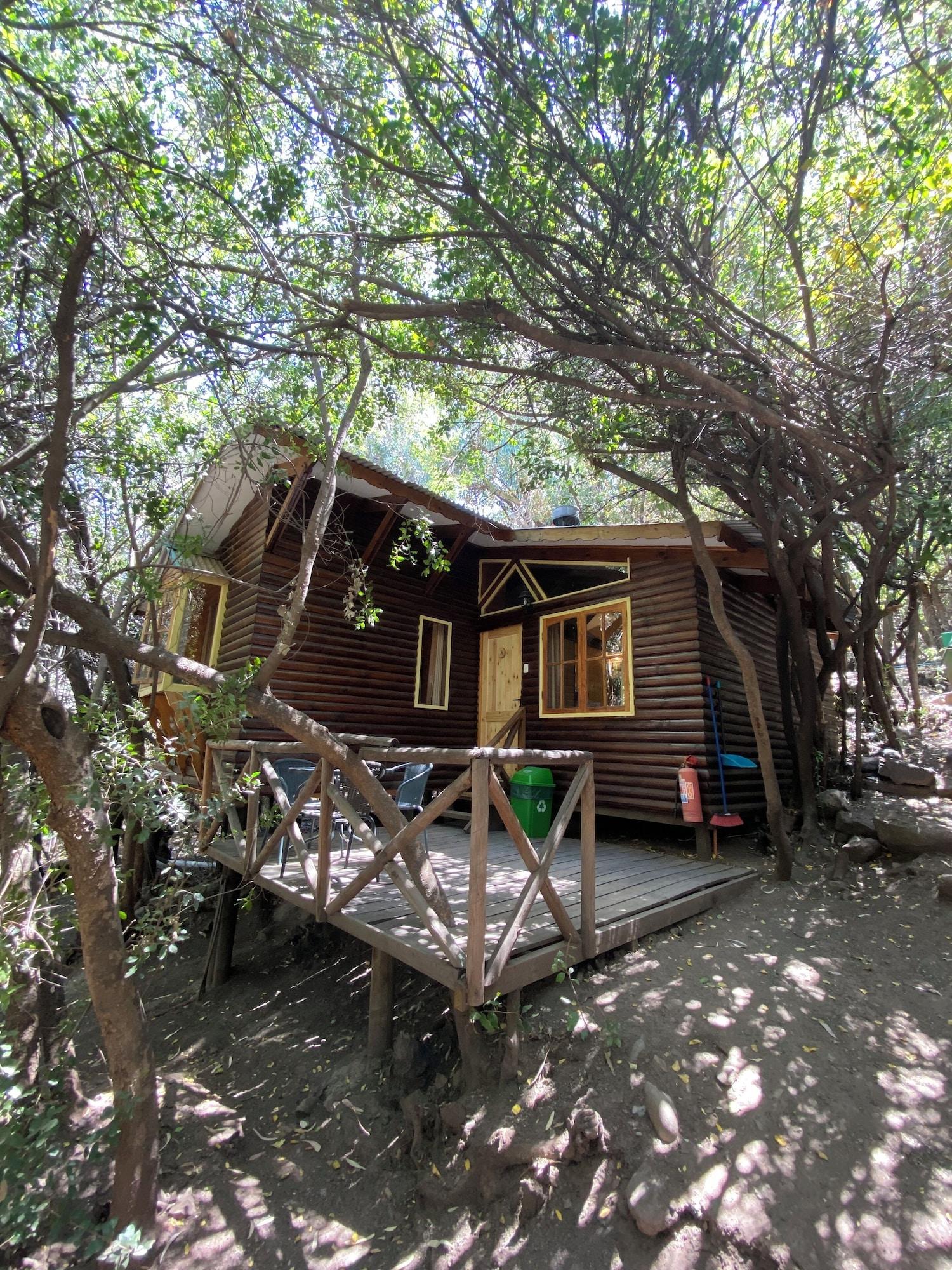 Habitación La Bella Durmiente