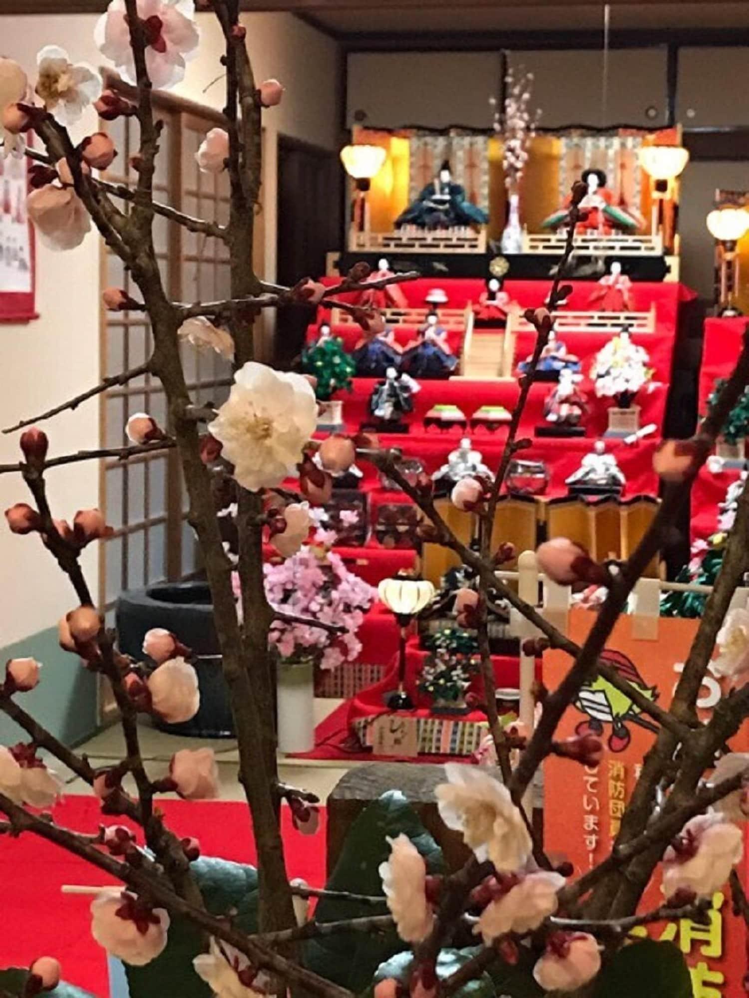 Comodidades del Alojamiento Seikaso