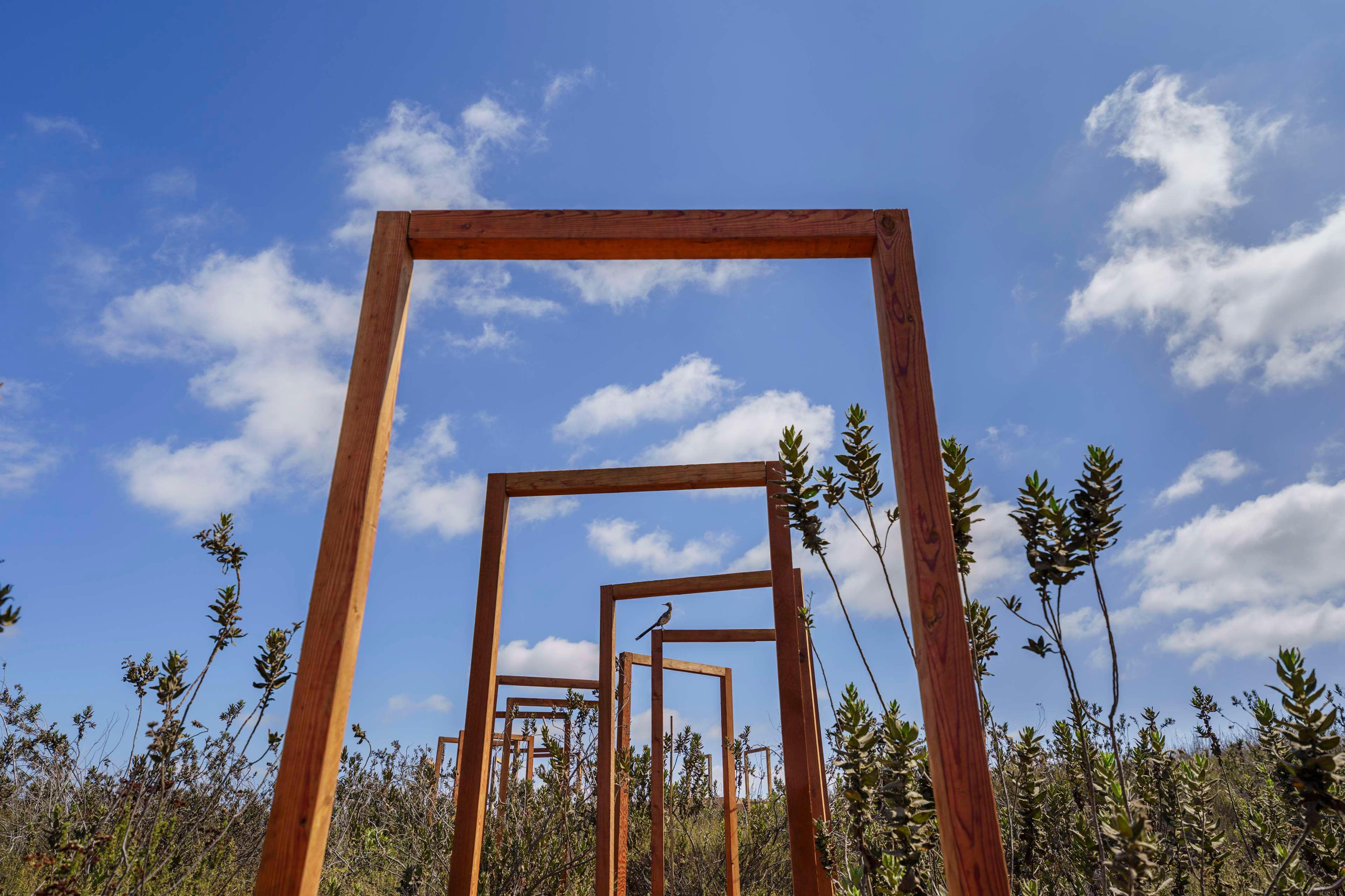 Vista Exterior Banyan Tree Veya Valle De Guadalupe