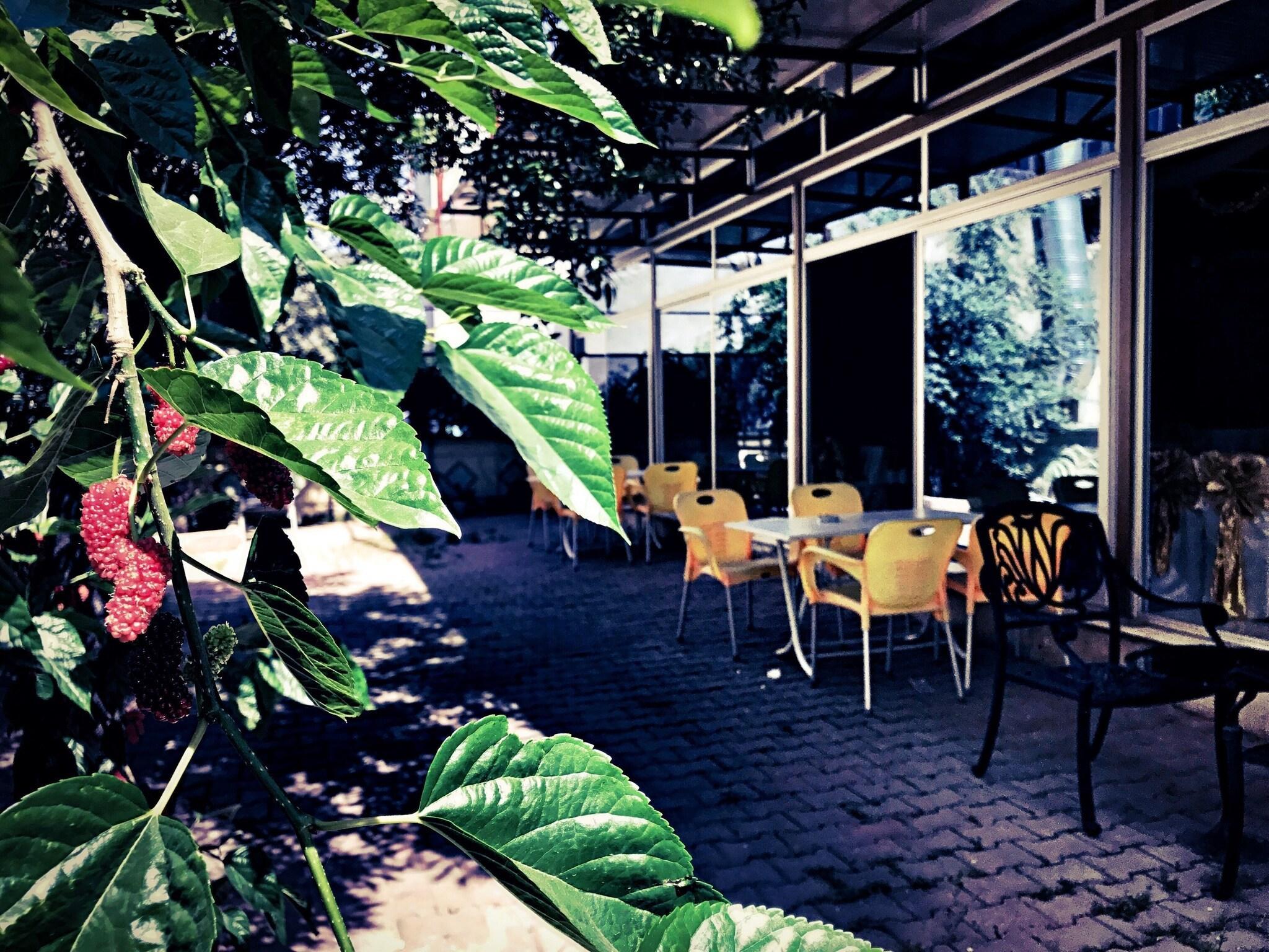 Vista Exterior Otel Star Palace