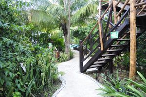 Alojamiento - Green Tulum Cabañas & Gardens