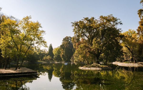 Sonder Miravalle - Hoteles en Hipodromo Condesa de Ciudad de México