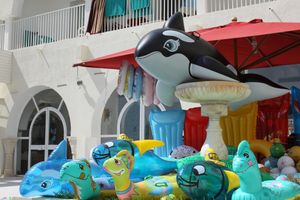 Alojamiento - Primasol El Mehdi