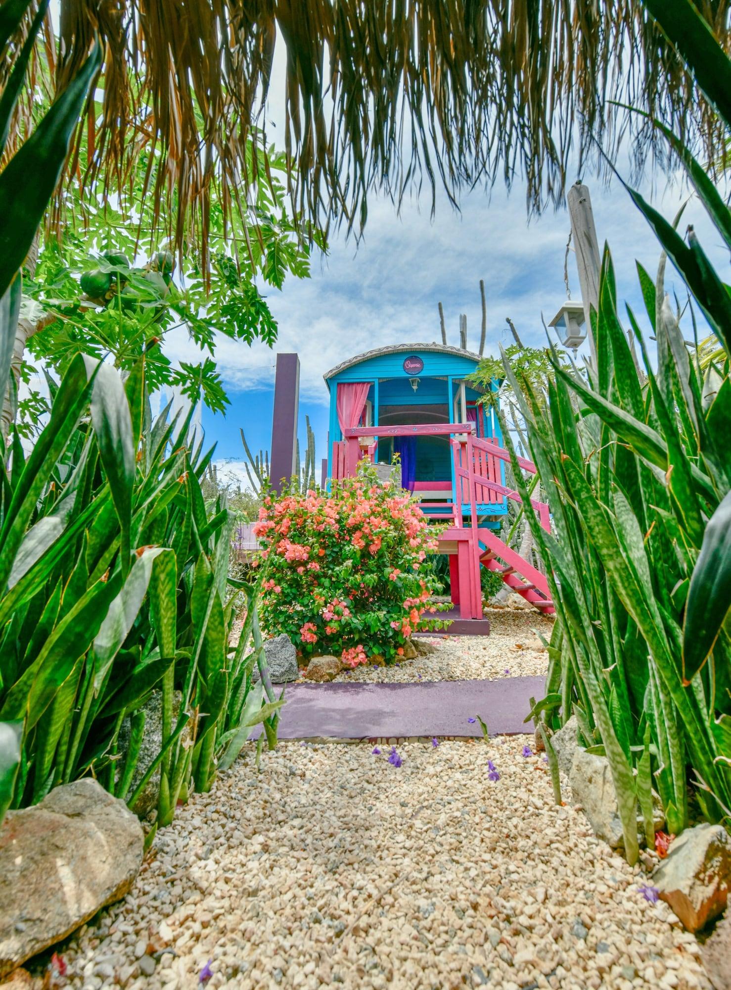 Habitación Mammaloes